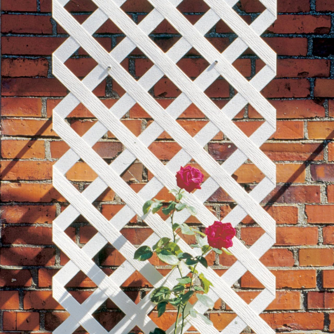 Videx-Rankgitter Spalier Coventry-Classic, Kunststoff weiss, 60 x 120cm