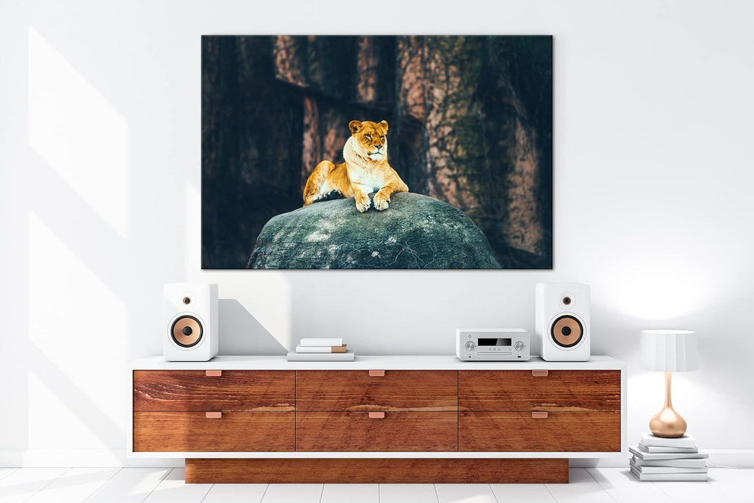 deyoli erhabene stolze Löwin Format: 100x70 als Leinwand, Motiv fertig gerahmt auf Echtholzrahmen, H