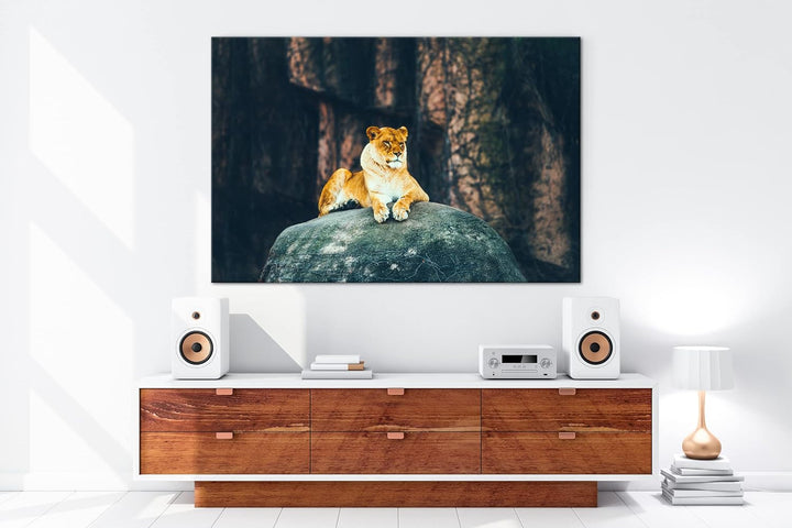 deyoli erhabene stolze Löwin Format: 100x70 als Leinwand, Motiv fertig gerahmt auf Echtholzrahmen, H