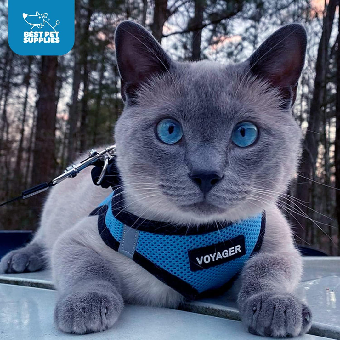 Voyager Step-In Air Hundegeschirr by Best Pet Supplies - All Weather Mesh Step in Vest Harness für k