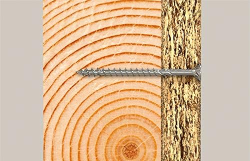 fischer 558778 Maletín FPFII FIXTAINER Sortiment von Schrauben für Holz, grau, Con tornillo Schraube