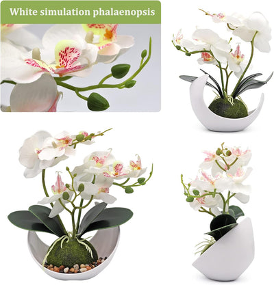 BREUAILY 2Pcs Künstliche Orchideenblumen Phalaenopsis Bonsai Kunstpflanze Orchideen Künstliche mit Ü