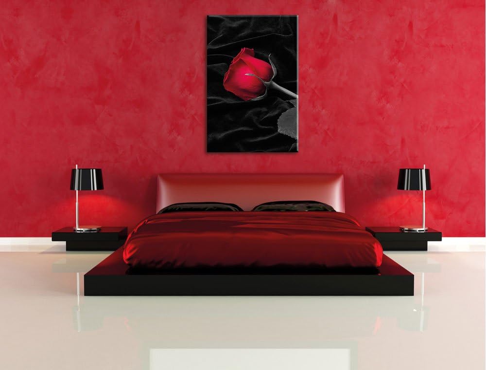 Pixxprint rote Rose gebettet auf schwarzem Samt als Leinwandbild/Grösse: 100x70 cm/Wandbild/Kunstdru