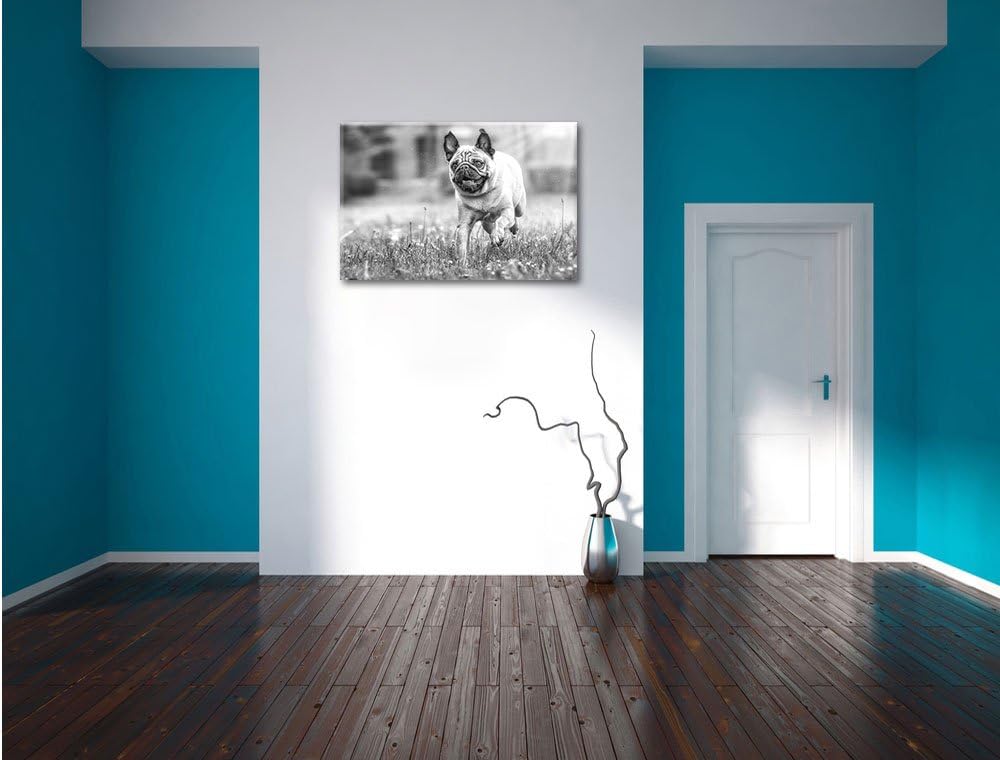 Rennender Mops Kunst B&W, Format: 100x70 auf Leinwand, XXL riesige Bilder fertig gerahmt mit Keilrah