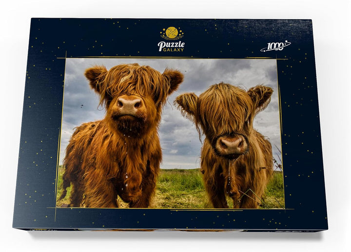Zwei süsse Hochlandkühe - Premium 1000 Teile Puzzle - MyPuzzle Sonderkollektion von Puzzle Galaxy, 1