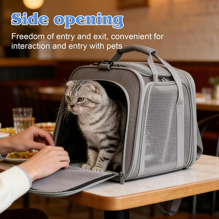 Transporttasche Für Katze Hund, Katzentransporttasche, Faltbare Katzentransportbox, Tragbar Faltbare