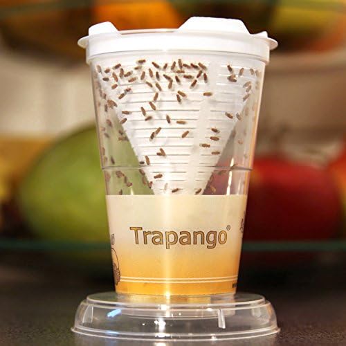 6x Fruchtfliegen-Lebendfalle Trapango®, (6er-Pack)