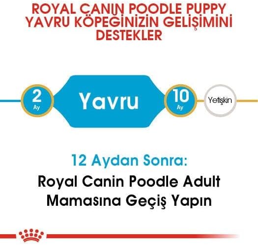 ROYAL CANIN Pudel Junior 3 kg, 1er Pack (1 x 3 kg)