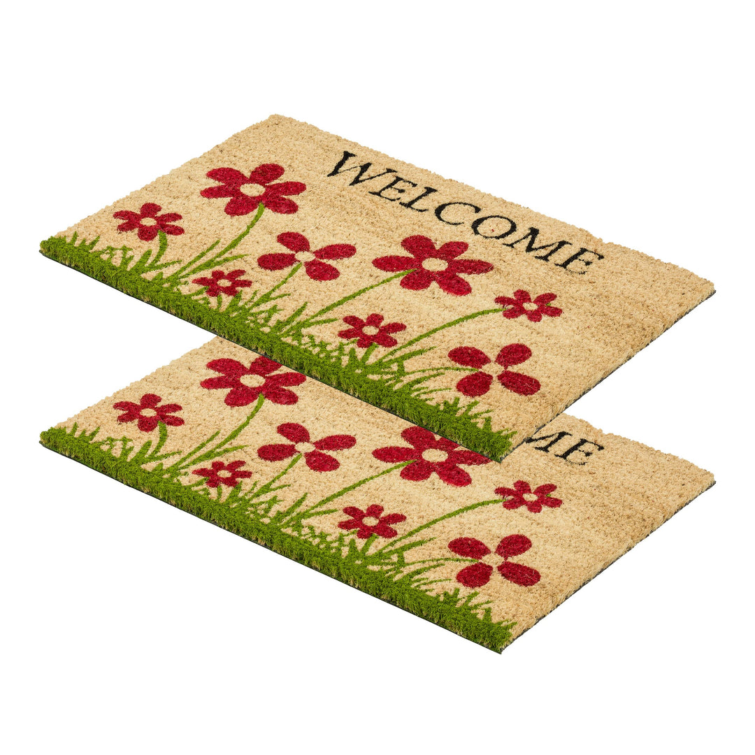 Carpido Fussmatte Kokos Blumenwiese Natur – Türmatte 40x60 cm 2er Set – antibakterielle Matte – Koko