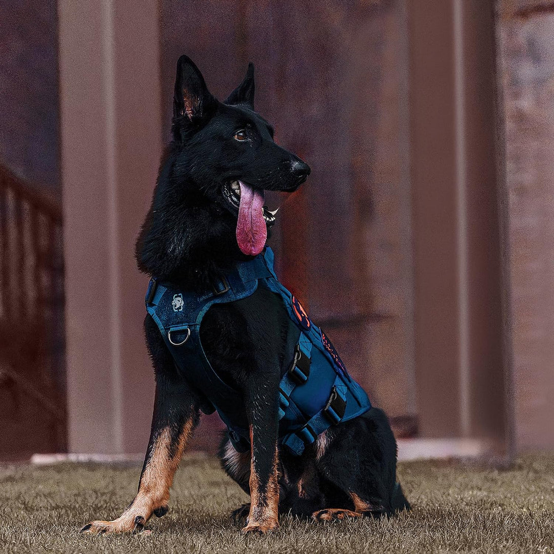 OneTigris No-Pull Hundegeschirr, AIRE MESH Einstellbar Sicherheitsgeschirr Ultra Atmungsaktiv für Gr