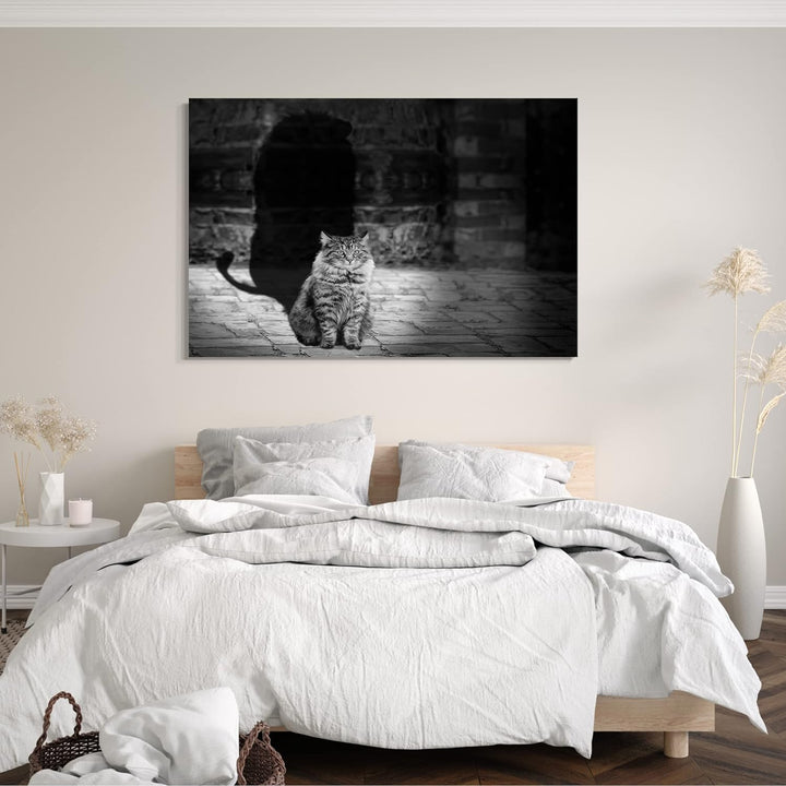 Printed Paintings Leinwand (80x60cm): Katze getigert mit Schatten Katzenbilder 80x60 cm, 80x60 cm