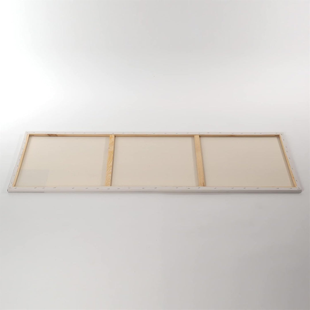 2 B.K. BASIC LEINWÄNDE AUF KEILRAHMEN 50x150 cm | 100% Baumwolle, Qualitäts Malgrundierung, malferti