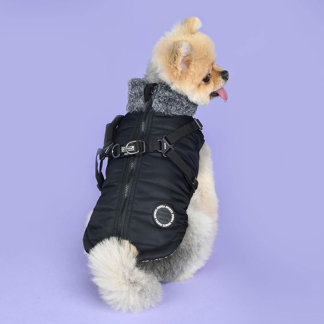 Puppia Donavan Winterweste – Schwarz – XL schwarz XL, schwarz XL