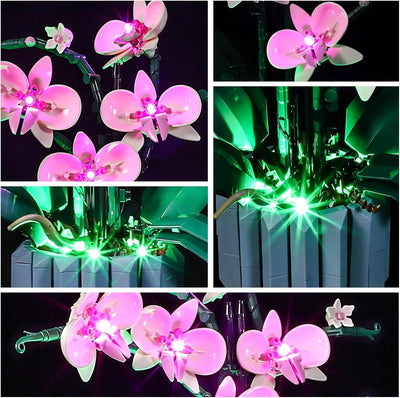 GEAMENT LED Licht-Set Kompatibel mit Lego Orchidee (Orchid) - Beleuchtungsset für Creator 10311 Baum