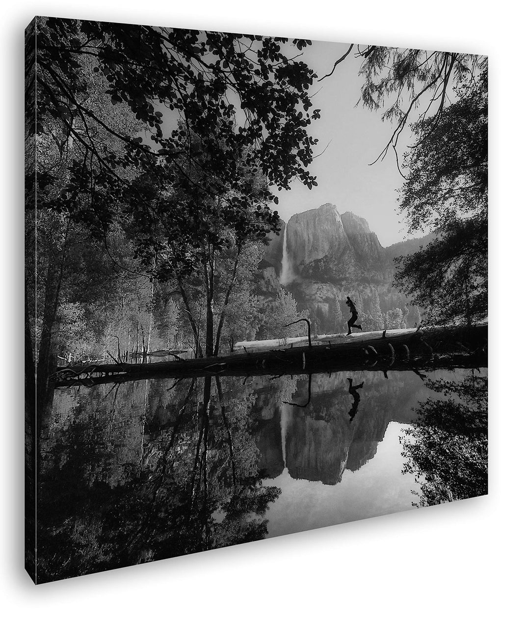 deyoli National Park in Kalifornien Format: 60x60 Effekt: Schwarz&Weiss als Leinwandbild, Motiv fert