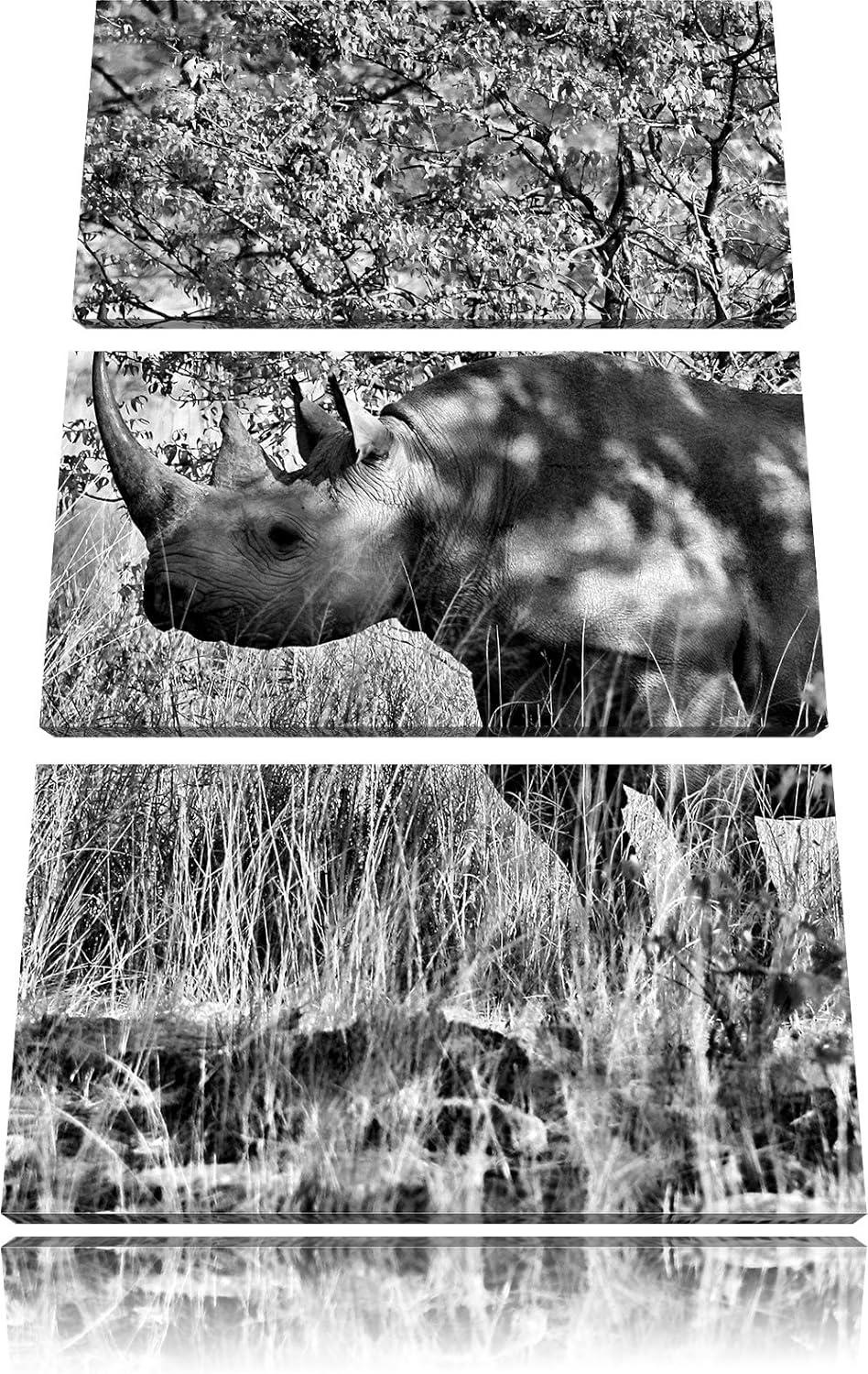 Pixxprint Nashorn in der Savanne als Leinwandbild/Grösse: 3 Teilig (120x80) cm/Wandbild/Kunstdruck/f