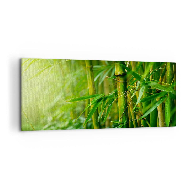Wandbilder Dekoration Wohnzimmer Bambus Pflanze Panorama Bilder auf Leinwand 120x50cm Leinwandbild m