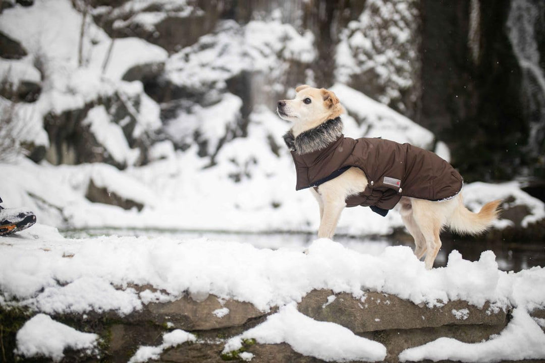 Wolters Cat&amp;Dog 49958 Parka mit Fellkragen 65 cm, braun