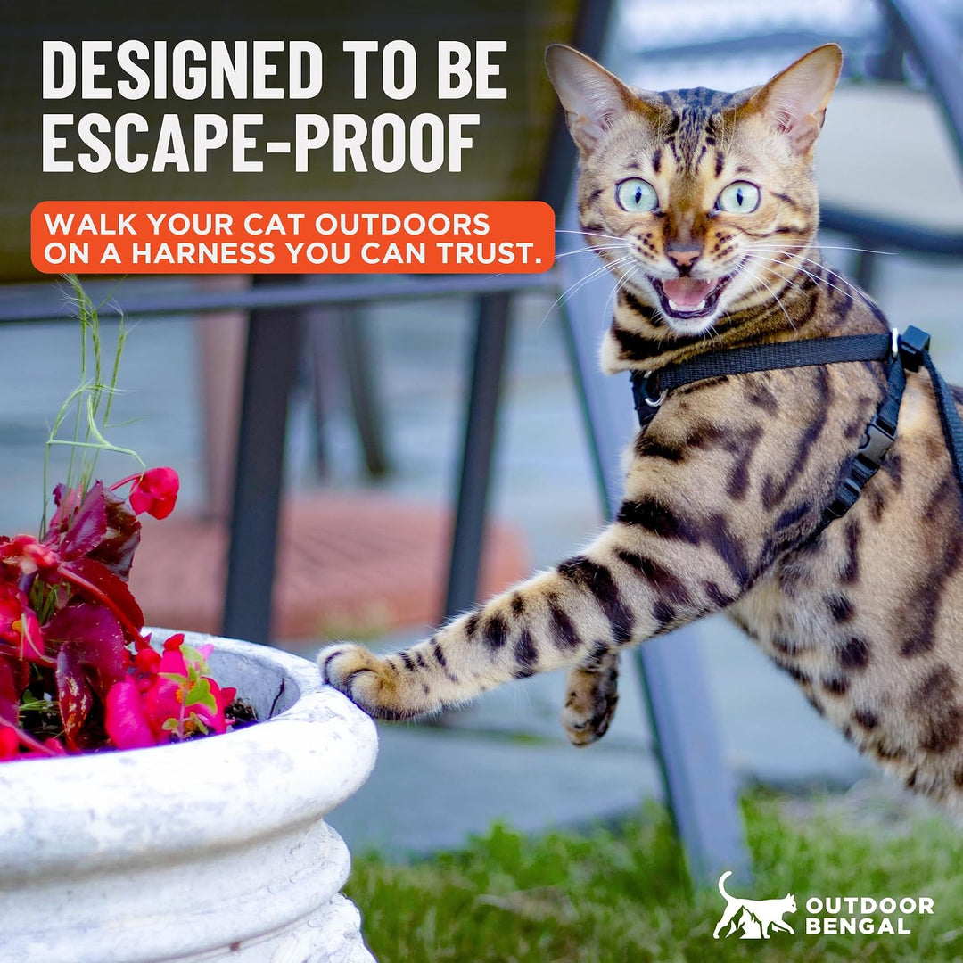 OutdoorBengal Katzengeschirr und Leine, gross, ausbruchsicher, erstickungsfrei, leicht, einfach anzu
