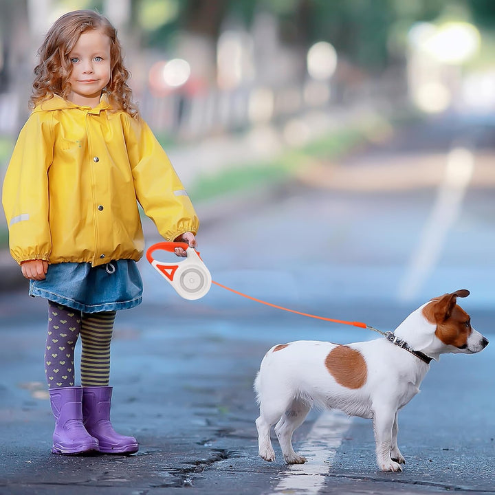 5 m Einziehbare Hundeleine, Strapazierfähig, Automatisch Ausziehbar, Für Kleine, Mittelgrosse und Gr