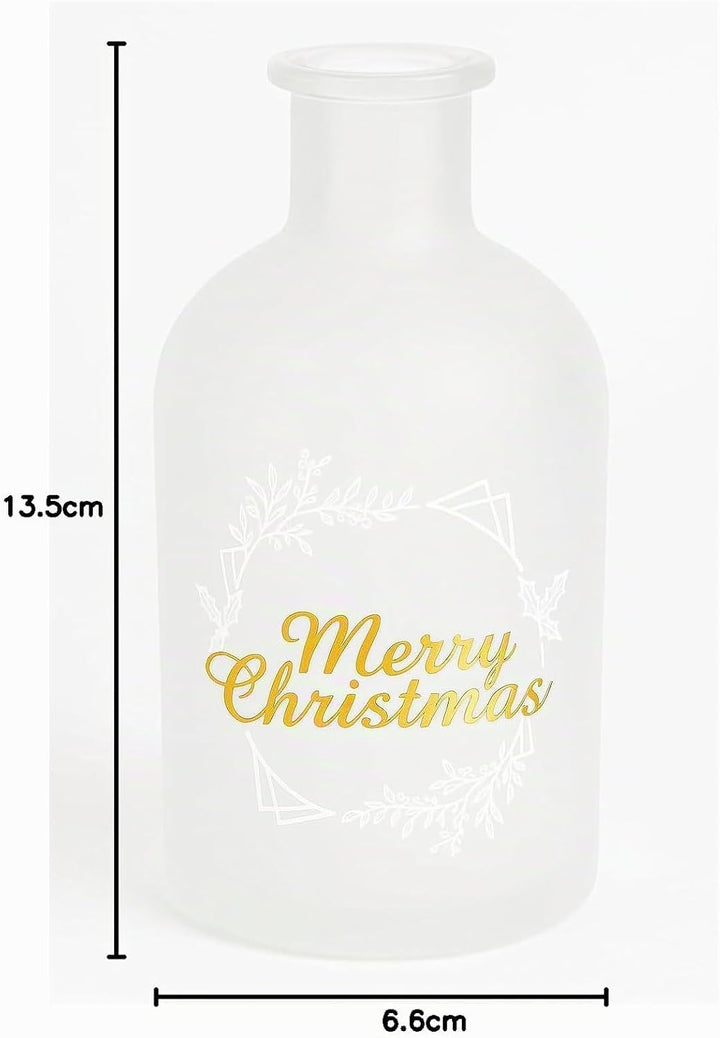 gouveo 6er Set Glasflaschen 250 ml (0,25 l) Weihnachtsflasche 250 ml Korkverschluss mit Holzgriff, s