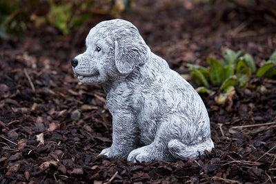 stoneandstyle Steinfigur Berner Sennenhund Welpe, Frost- und wetterfest bis -30°C, massiver Steingus