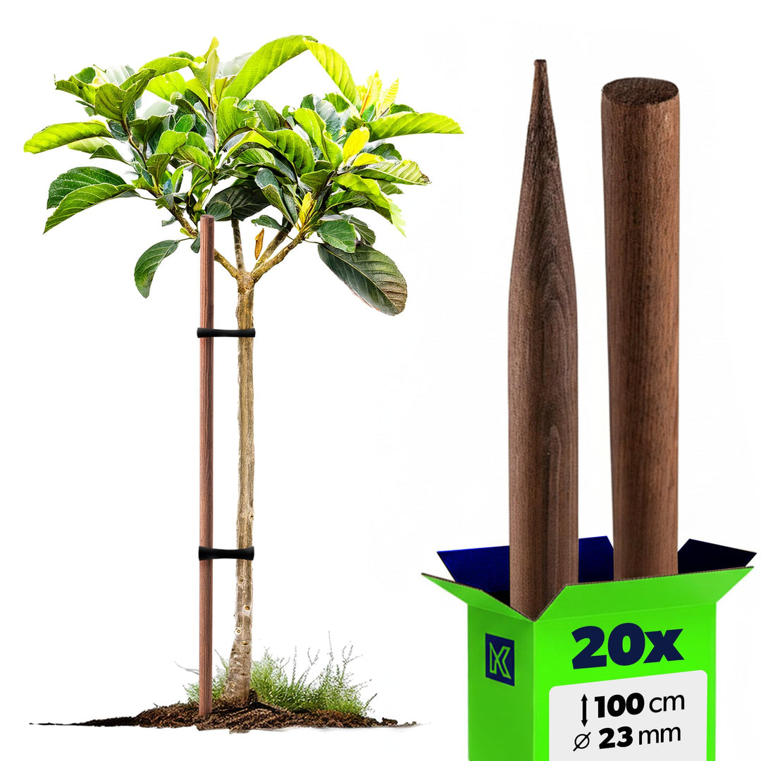 KADAX Holzstäbe 100 cm x 23 mm, 20er Set, Pflanzstäbe aus imprägniertem Holz, Holzpfähle als Rankhil