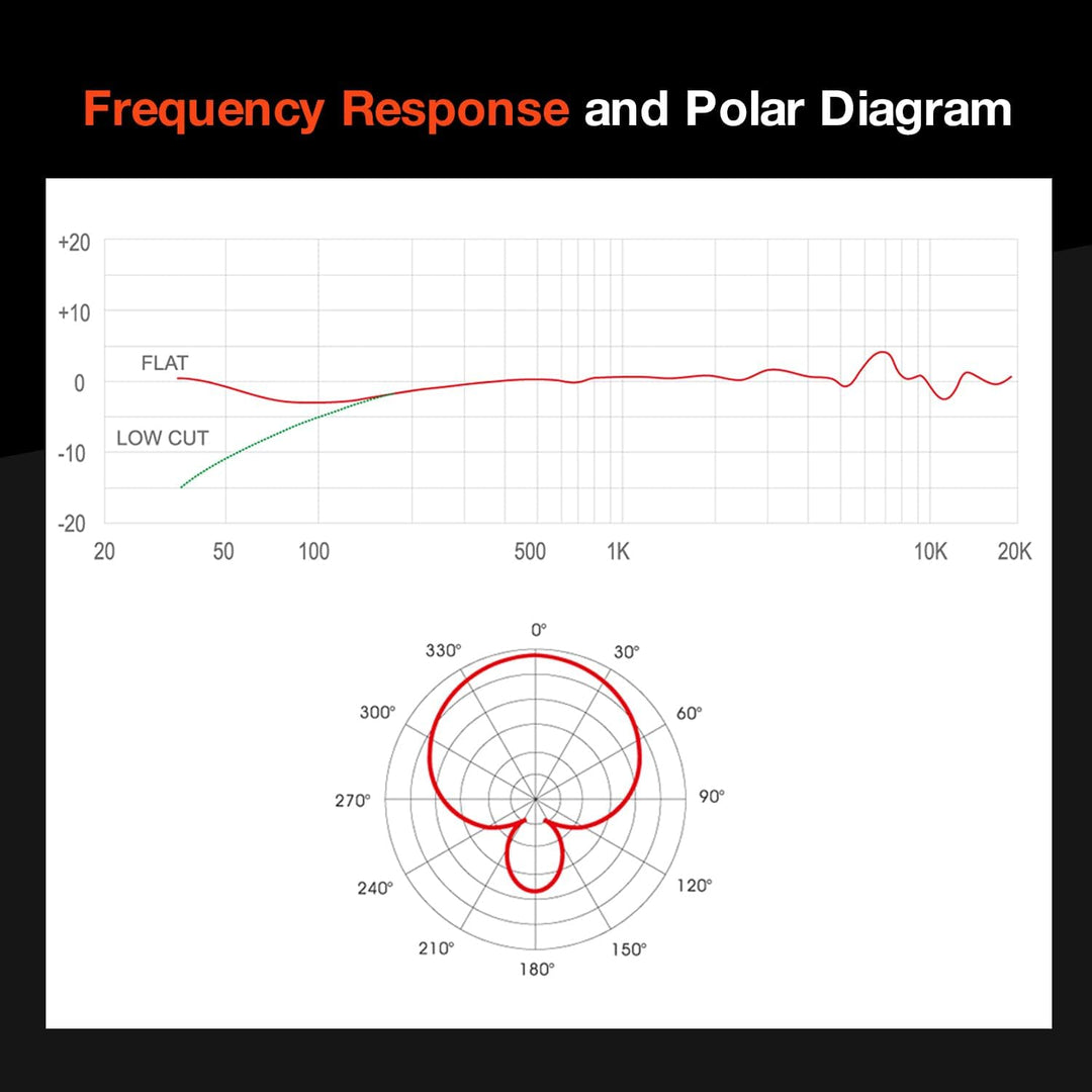 Tascam TM-200G Microphone
