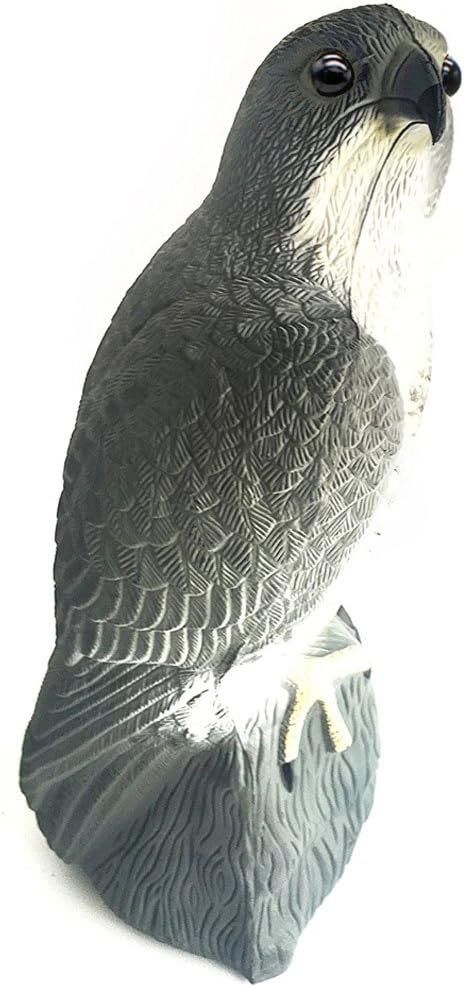 YOFIT Vogelscheuche, gefälschter Falken, Vogelabwehr, Gartenschutz, natürliche Schädlingsabwehr, Vog