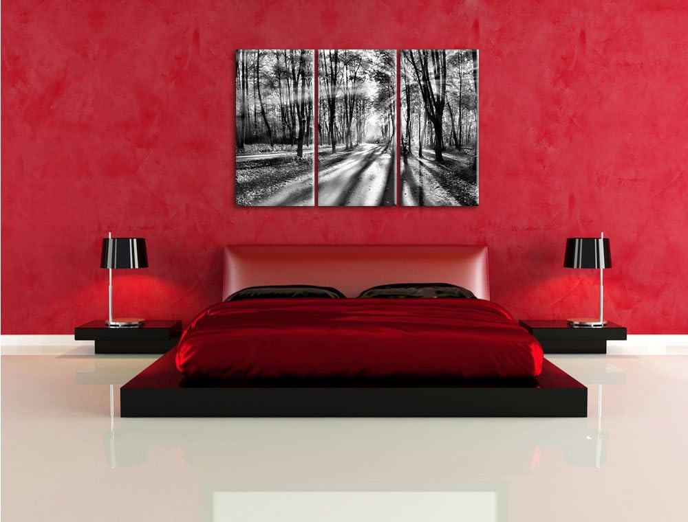 Pixxprint Baumallee im Herbst als Leinwandbild/Grösse: 3 Teilig (120x80 cm) cm/Wandbild/Kunstdruck/f