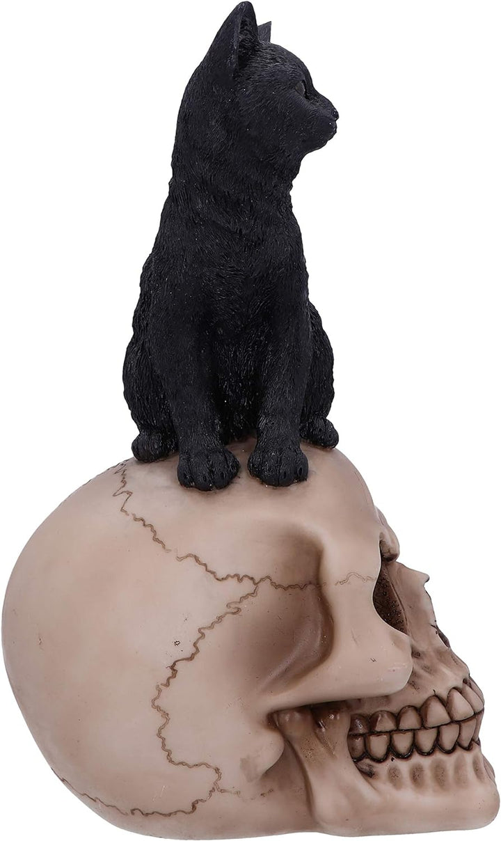 Nemesis Now Familiar Fate Dekofigur Hexen, Katze und Totenkopf, 24,3 cm