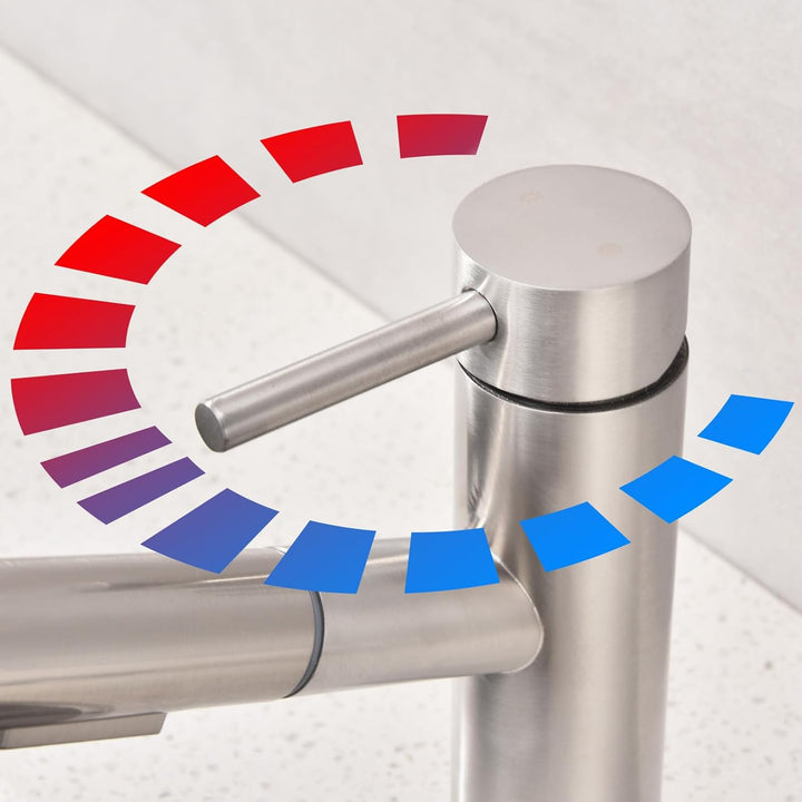 HOMELODY Wasserhahn Küche/Bad Gebürsteter Oberfläche Ausziehbar, Küchenarmatur mit Brause Zwei Wasse