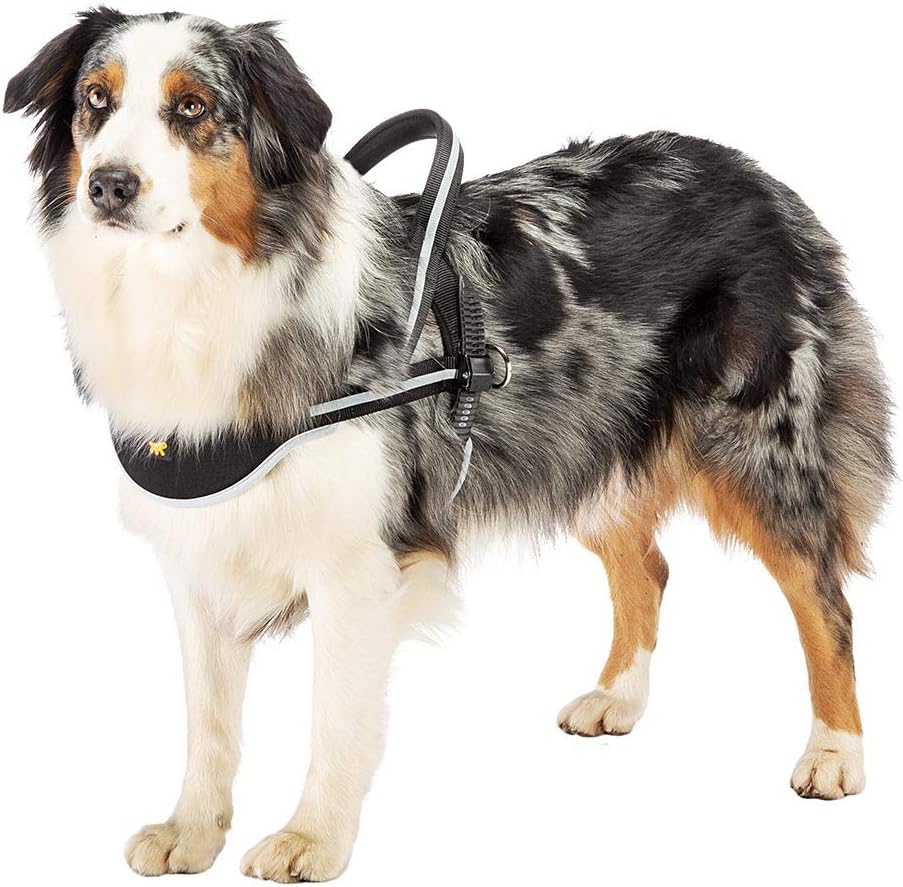 Ferplast Hundegeschirr mittelgrosse Hunde Geschirr Hunde ERGOCOMFORT NORDIC 2, Halsumfang: 58 cm, Br