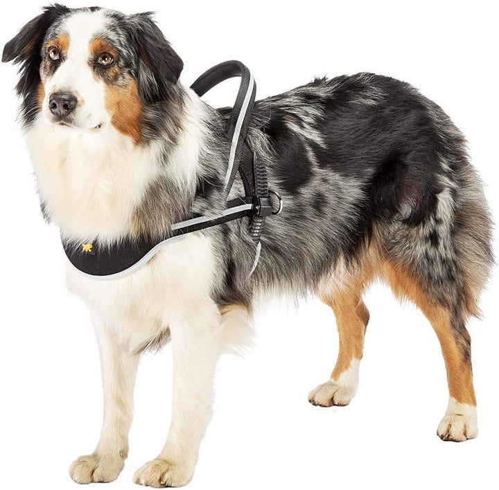 Ferplast Hundegeschirr grosse Hunde Geschirr Hunde ERGOCOMFORT NORDIC 3, Halsumfang: 65 cm, Brustumf