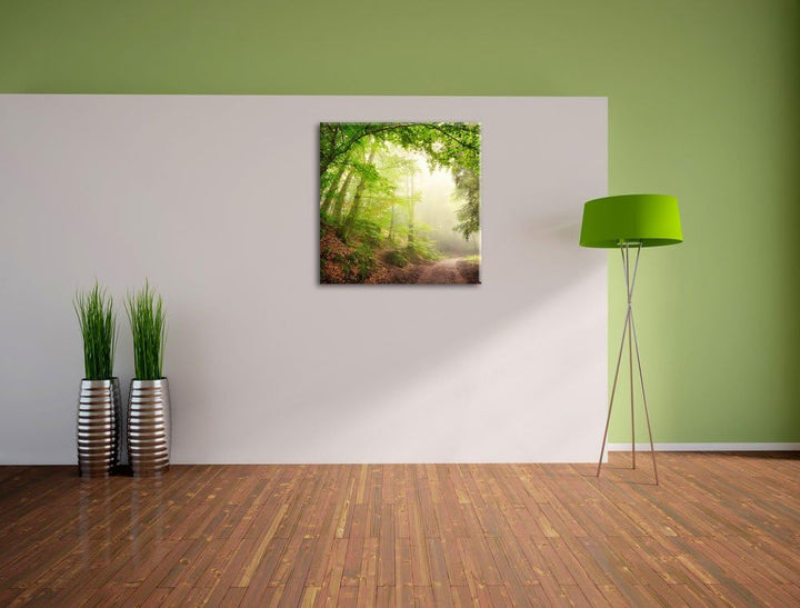 Sonnenstrahlen Waldweg, Format: 70x70 auf Leinwand, XXL riesige Bilder fertig gerahmt mit Keilrahmen