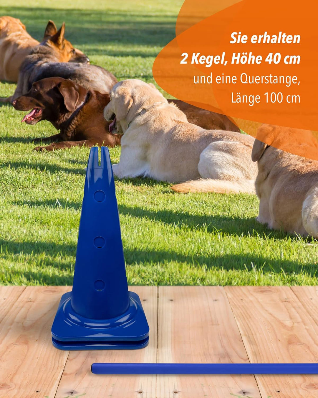 Kombi Kegel-Hürde 40 cm hoch – Steckhürden Set für Agility-Training – Sprung- & Slalom-Hütchen für H
