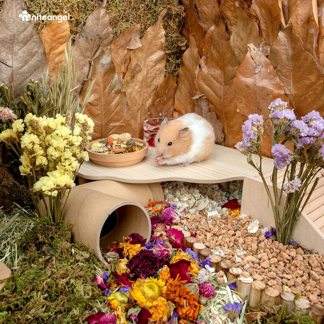 Niteangel Hamster Spielpodest aus Holz für Zwerghamster, Syrische Hamster, Gerbils, Mäuse, Degus ode