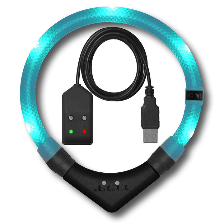 LEUCHTIE® Easy Charge Leuchthalsband Hund aufladbar, wasserdichtes LED Halsband, Leuchtband für Hund