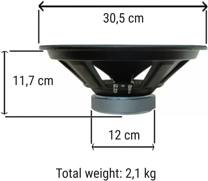 1 WEB W-128 Lautsprecher niedrige mid woofer Diffuser 30,00 cm 300 mm 12" von 125 watt rms 250 watt