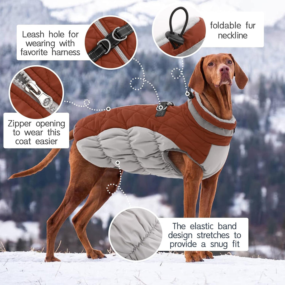 Kuoser Hundejacke Wintermantel für Mittelgrosse Hunde - Wasserdichte Winterweste Mit Geschirr - Warm