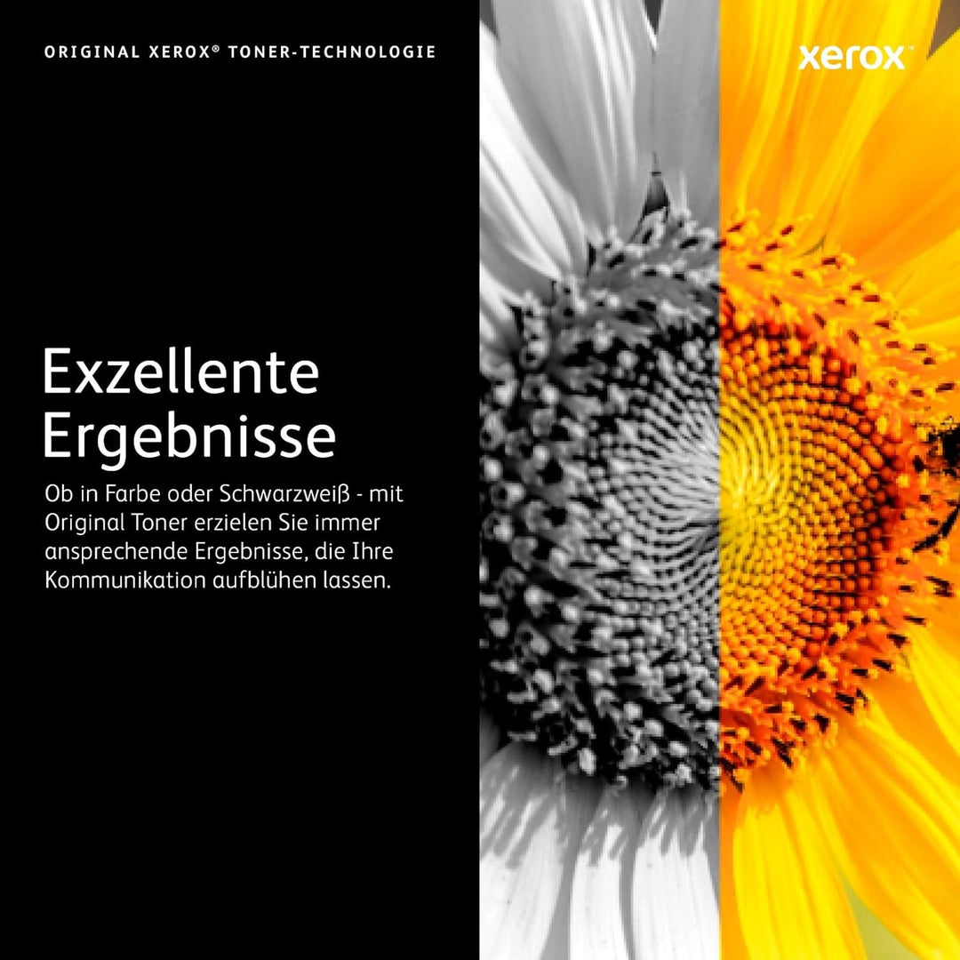 Xerox 106R03940 VersaLink B600 / B605 / B610 / B615 (10.300 Seiten) Standard-Tonerkartusche Schwarz