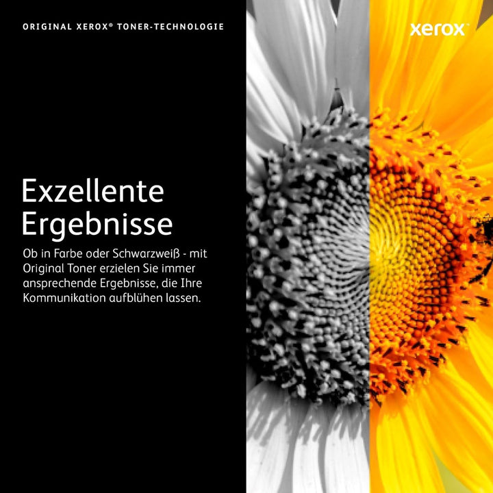 Xerox 106R2731 Original Toner Pack of 1 schwarz, Toner