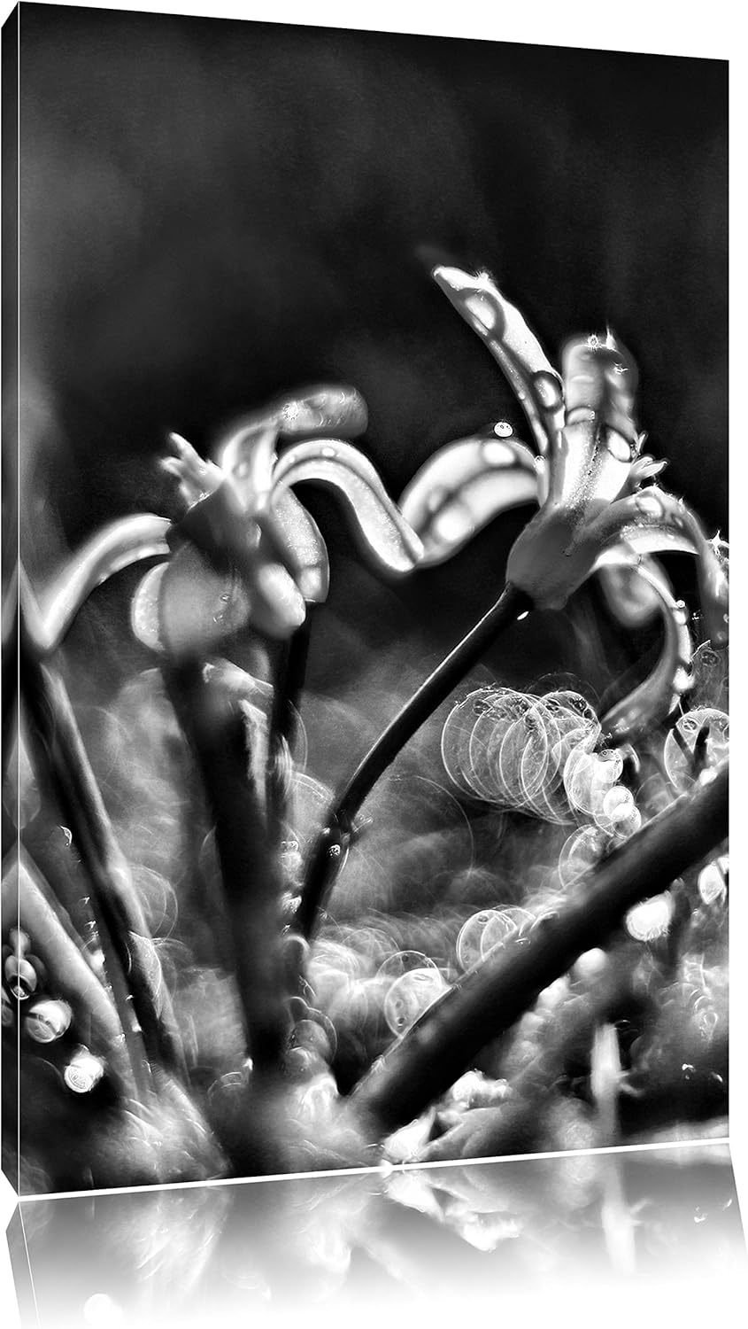 Pixxprint Monocrome, Zarte Lila Wiesenblumen im Morgentau, Format: 100x70 auf Leinwand, XXL riesige