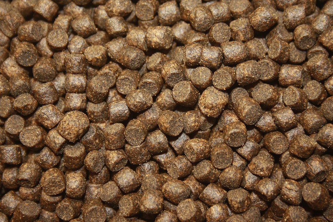 Tomodachi Herbstfutter für Koi Koifutter für den Herbst, langsam sinkend und energiereich, 10kg