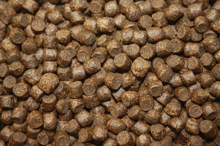 Tomodachi Herbstfutter für Koi Koifutter für den Herbst, langsam sinkend und energiereich, 10kg