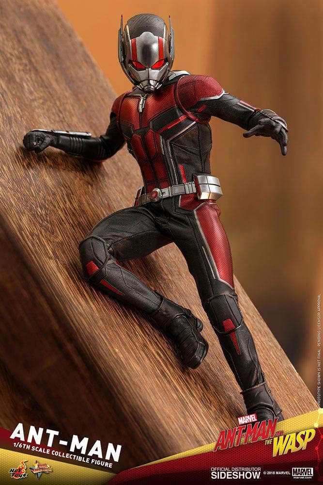 Hot Toys 1:6 Ant-Man - Movie Masterpiece Series