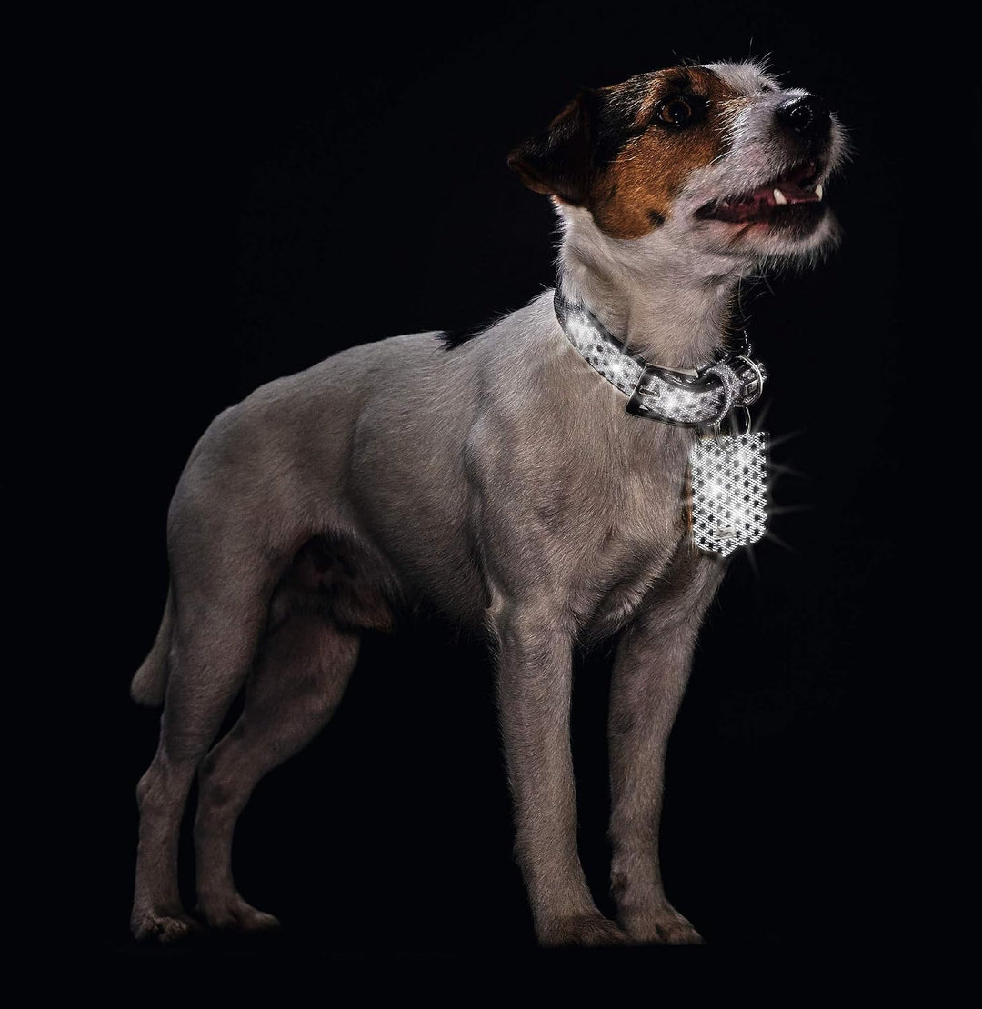 HUNTER HELLA REFLECT, Hundehalsband, reflektierend, Textil, Kunstleder, 35 (XS), schwarz schwarz 35,
