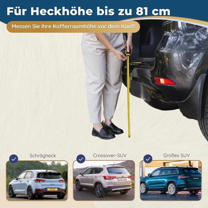 Hunderampe Auto Klappbar – 174 cm Lang & 38 cm Breit – rutschfeste Gummi Rampe für grosse Hunde – St