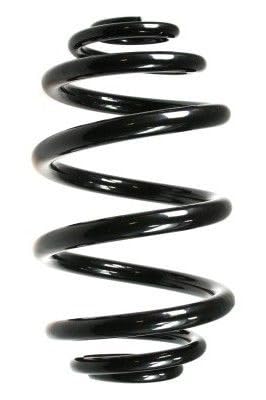 SPIDAN 49797 Fahrwerksfeder