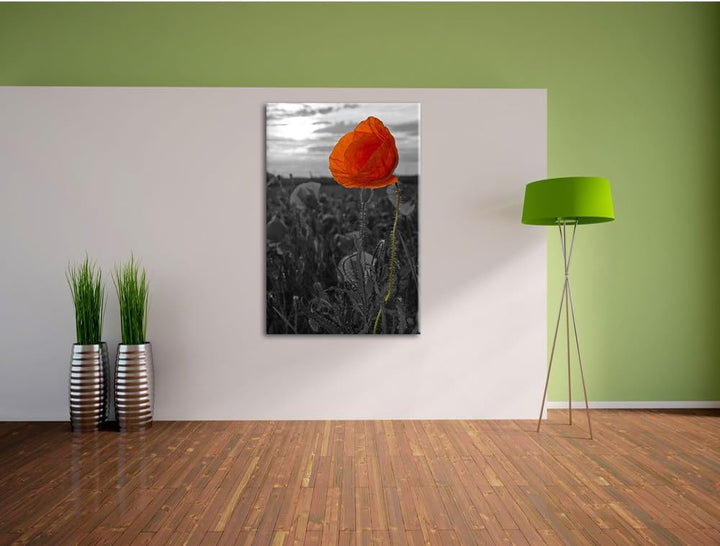 Mohnfeld B&W Detail, Format: 100x70 auf Leinwand, XXL riesige Bilder fertig gerahmt mit Keilrahmen,